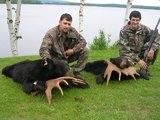 Black Bear Hunts Quebec Canada.
