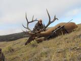 Wyomng Elk Hunting Tyler Simms Outfitting.