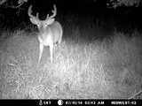 Illinois Deer Hunts Midwest Extreme Hunting.