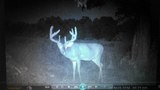 Ohio Whitetail Deer Hunting Outfitters.