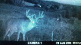 Southern Ohio Deer Hunting Guides and Outfitters.