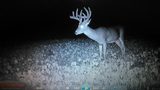 Deer Hunting Southern Ohio.