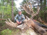 Newfoundland Moose Hunting Outfitters.