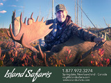 Trophy Moose Hunting - Island Safaris