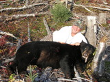 Huge black bears are very common in our area!