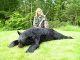 Bear Hunts in Maine.