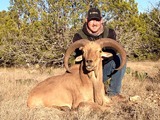 Monster Aoudad