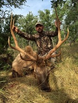 Elk Hunts 