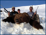 Bear Hunting Guides