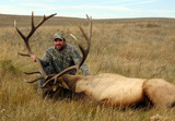 Elk hunting Alberta Canada