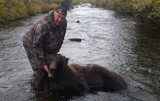 Alaska Bear Hunts