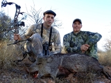 Arizona Javelina Hunting with bow