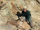 Arizona Mountain Lion Hunting