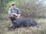 wild boar hunting