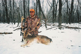 Fallow deer hunts