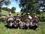 California Rio Grande Turkey Hunting