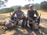 Blacktail Deer Hunting California