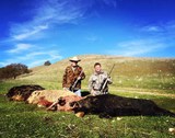 Boar Hunting CA