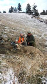 Deer Hunts MT