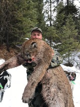Mountain Lion/Cougar Hunts