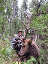 Montana Elk Hunting