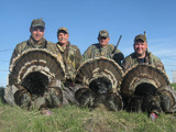 Merriam Turkey Hunting