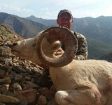 Alaska Sheep Hunts
