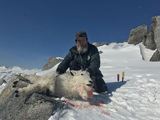 Mountain Goat Hunting