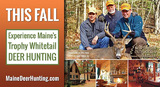 Maine Deer Hunting
