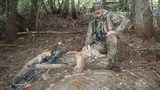Archery Cougar Hunt