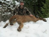 Mountain Lion Hunting