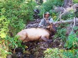 Elk Hunting Idaho