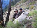 Mountain Goat Hunting Idaho