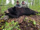 Black Bear Hunts