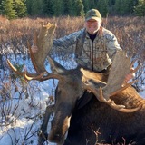 British Columbia Moose Hunting