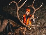 Bull Elk Hunting