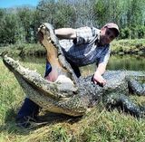 Alligator Hunting