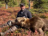 Brown Bear Hunting Alaska