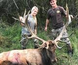 Elk Hunting Ohio