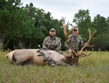 Elk Hunting 