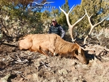 AZ Elk Hunting