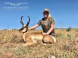 Pronghorn Antelope Hunts