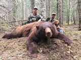 Color Phased Bear Hunts