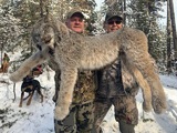Lynx Hunts