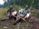 Canadian Moose Hunts