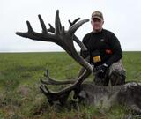 Alaska caribou Hunting