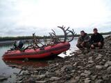 Caribou Hunting Alaska