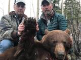 Grizzly Bear Hunting Alaska
