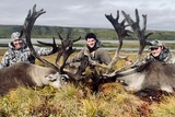 Caribou Hunting Alaska