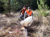 Rifle Elk Hunts